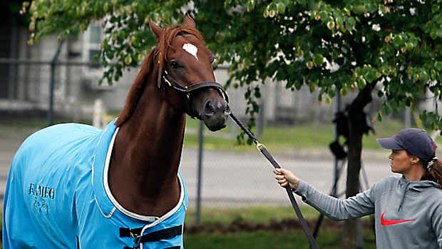 irish-war-cry-belmont-stakes-post-draw.jpg